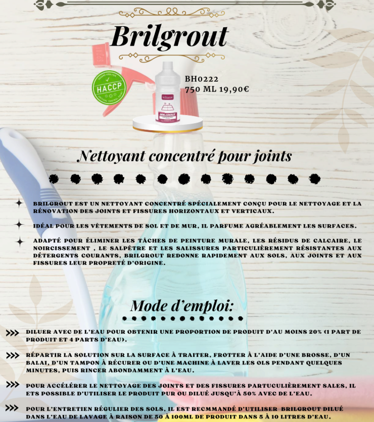 Brilgrout - Concentrated Grout Cleaner (BH0222)